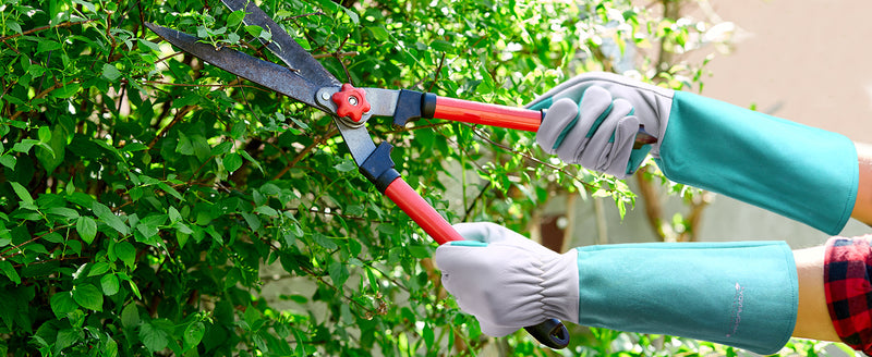 📢Deals: Thorn Proof Leather Long Gardening Gloves for Men & Women