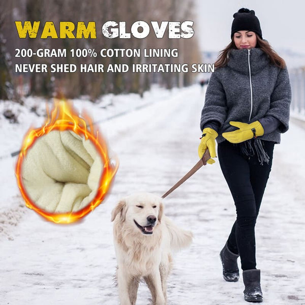 Top Winter Gloves to Keep Cold and Moisture Out