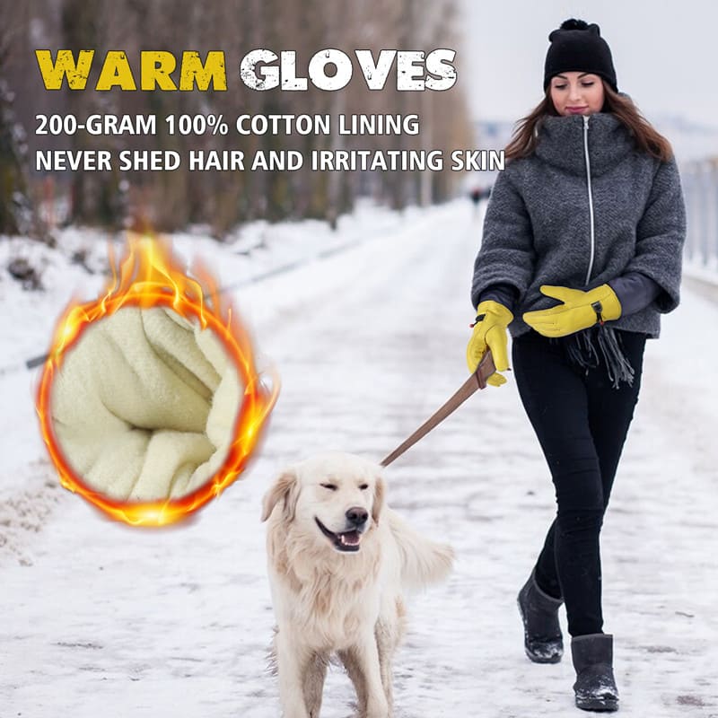 Top Winter Gloves to Keep Cold and Moisture Out