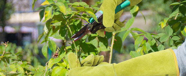 What Does Puncture Gloves Mean?