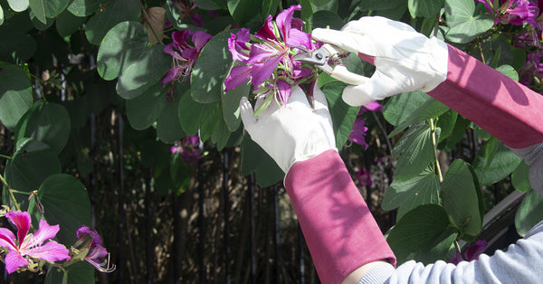 Handlandy's Top Picks: Best Gardening Gloves for Every Task