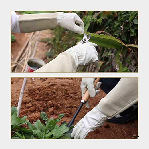 Handlandy Bundle - 2 Pairs: Rose Pruning Long Gardening Gloves, Ladies Heavy Duty Yard Work Gloves - Beige, Khaki,