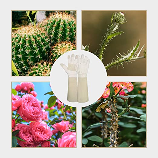 Handlandy Bundle - 2 Pairs of Pruning Gloves Long for Men & Women, Pigskin Leather Rose Gardening Gloves, Breathable & Durability Gauntlet Gloves