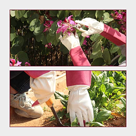Handlandy Bundle - 2 Pairs of Pruning Gloves Long for Men & Women, Pigskin Leather Rose Gardening Gloves, Breathable & Durability Gauntlet Gloves