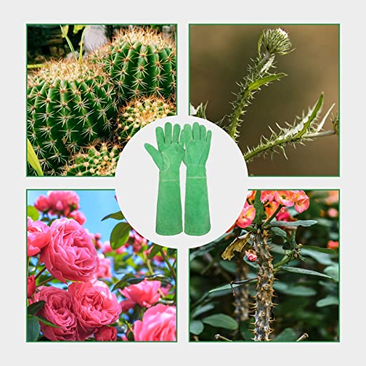 Handlandy Bundle - 2 Pairs: Rose Pruning Long Gardening Gloves, Ladies Thorn Proof Gauntlet Cowhide Leather Gloves