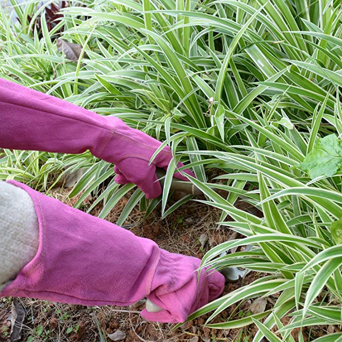 Handlandy Bundle - 2 Pairs of Pruning Gloves Long & Ladies Leather Gardening Gloves, Thorn Proof Gauntlet Gloves