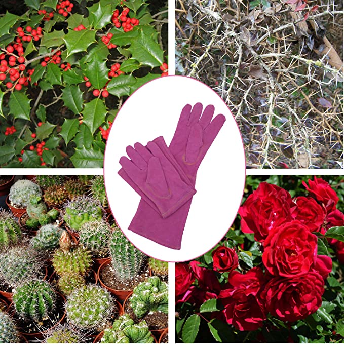 Handlandy Bundle - 2 Pairs: Rose Pruning Long Gardening Gloves, Ladies Thorn Proof Gauntlet Cowhide Leather Gloves
