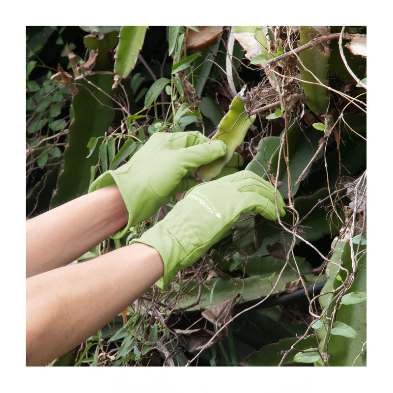 Handlandy Bundle - 2 Pairs of Pigskin Leather Rose Pruning Gloves & Leather Gardening Gloves for Women