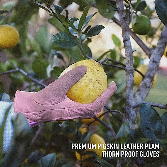 Handlandy Bundle - 2 Pairs of Pigskin Leather Rose Pruning Gloves & Leather Gardening Gloves for Women, Breathable and Flexible Yard Working Gloves