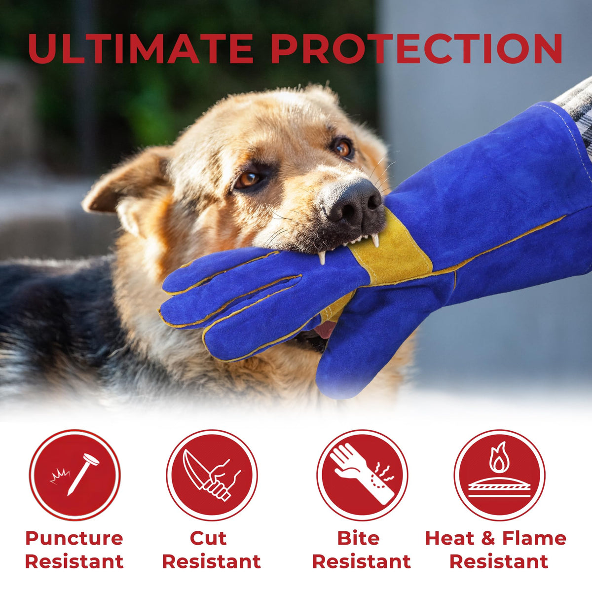 cat gardening gloves Handlandy Animal Handling Gloves Rose Pruning Gardening Gloves 1305