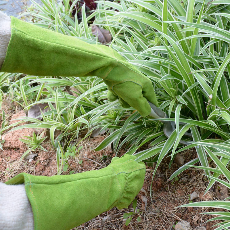 Handlandy vente en gros gants de jardinage pour femmes gantelet en peau de vache résistant aux épines 508890